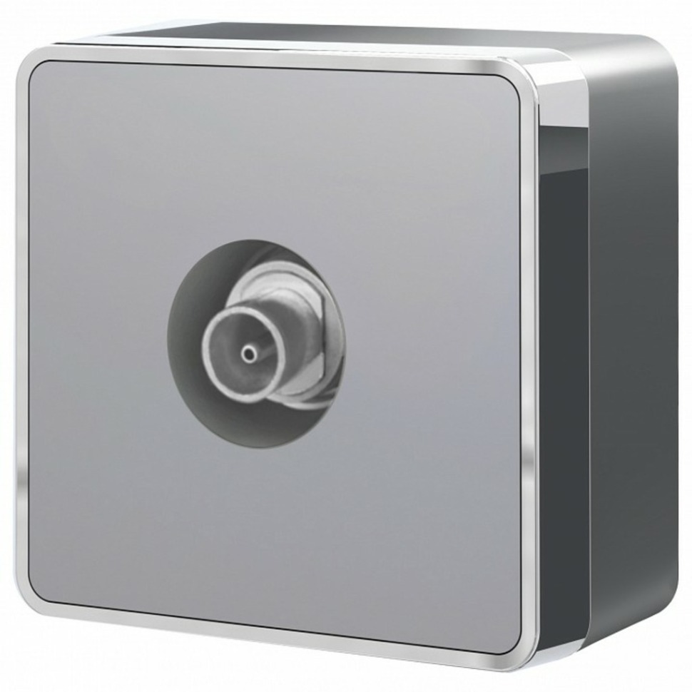 Фото ТВ-розетка оконечная Werkel Gallant (серебряный) W5083006 WRK_a052778 - интернет-магазин МегаТерем в Москве