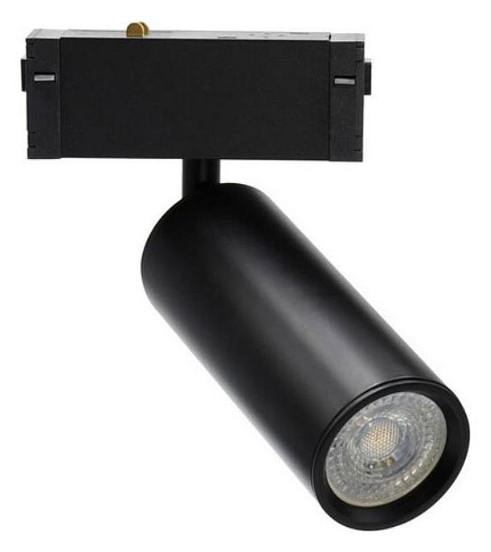 Фото Светильник на штанге Aployt Magnetic track 220 APL.0209.00.01 AP_APL.0209.00.01 - интернет-магазин МегаТерем в Москве