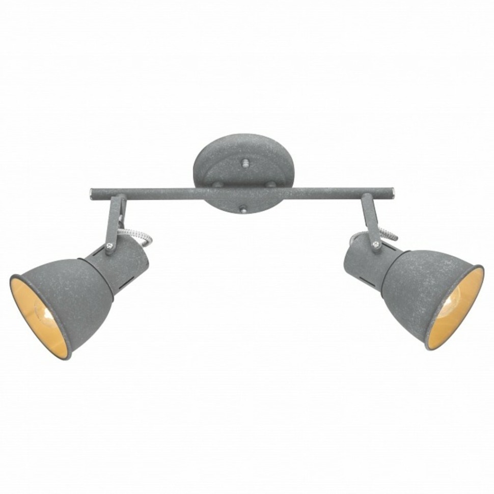 Фото Спот Arte Lamp Jovi A1677PL-2GY AR_A1677PL-2GY - интернет-магазин МегаТерем в Москве