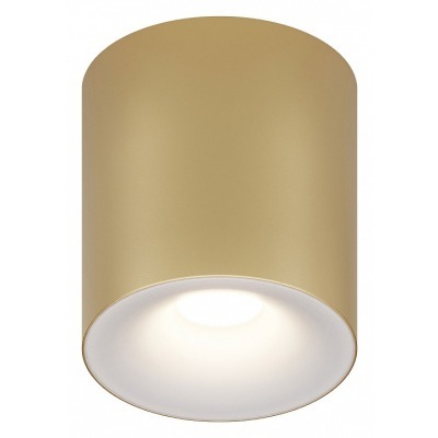 Накладной светильник Maytoni Spark C094-GU10-MG MY_C094-GU10-MG