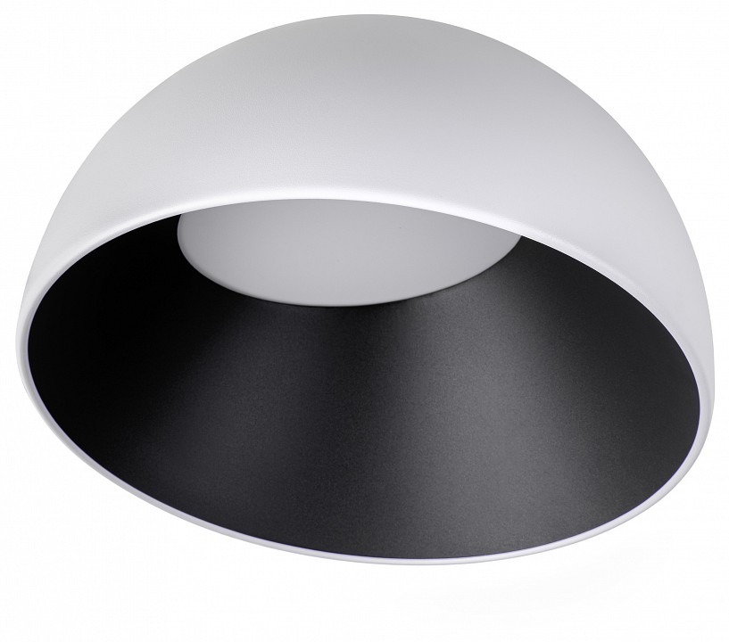 Фото Накладной светильник Loft it Egg 10197/350 WB LF_10197_350_WB - интернет-магазин МегаТерем в Москве