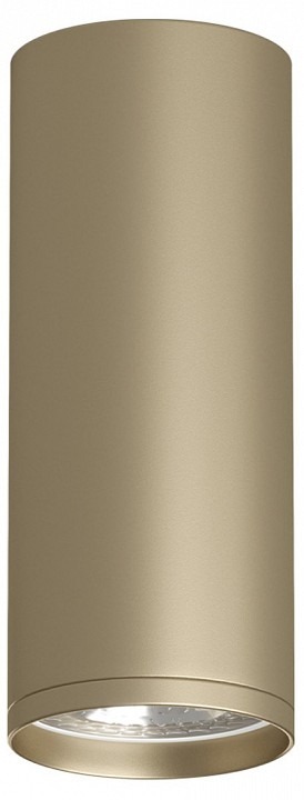 Фото Накладной светильник Denkirs TUBE DK2051-SG DK_DK2051-SG - интернет-магазин МегаТерем в Москве