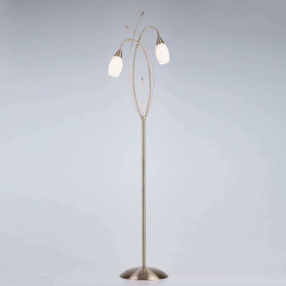 Фото Торшер Eurosvet Ginevra 22080/2F античная бронза EV_58612 - интернет-магазин МегаТерем в Москве