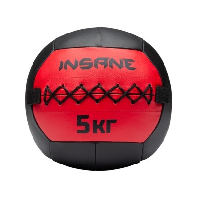 Медбол INSANE IN24-WB100, 5 кг, красный (2111037)