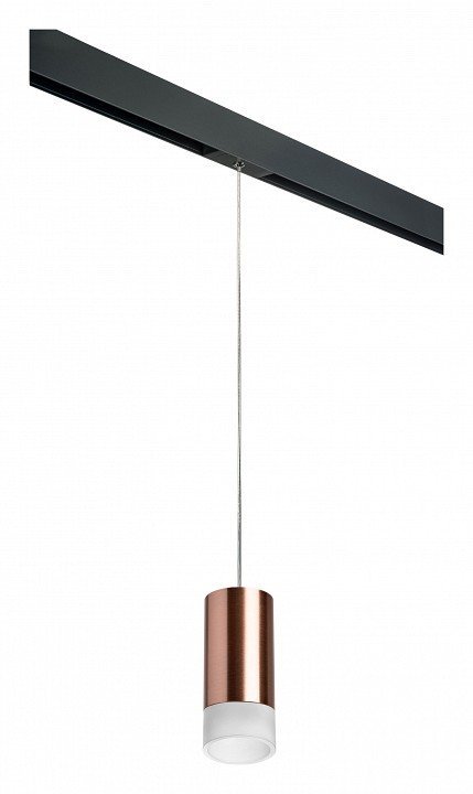 Фото Подвесной светильник Lightstar Rullo PRORP43031 LS_PRORP43031 - интернет-магазин МегаТерем в Москве