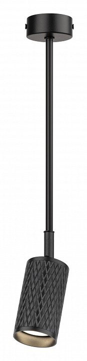 Фото Светильник на штанге Эра OL45 BK Б0058498 ER_B0058498 - интернет-магазин МегаТерем в Москве