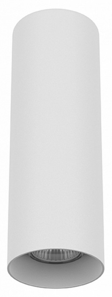 Фото Накладной светильник Lightstar Rullo 216496 LS_216496 - интернет-магазин МегаТерем в Москве