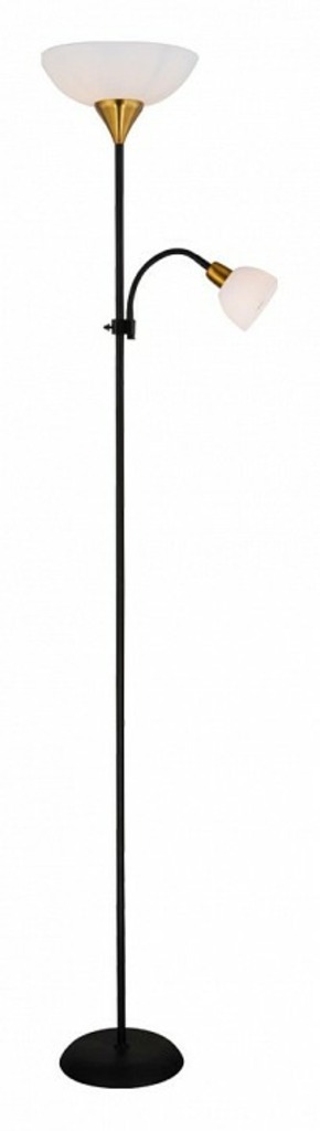 Фото Торшер с подсветкой Arte Lamp Duetto A9569PN-2BK AR_A9569PN-2BK - интернет-магазин МегаТерем в Москве