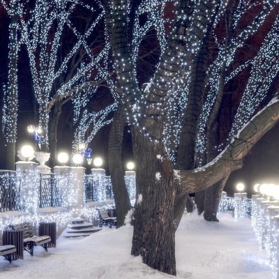 Гирлянда нить [10 м] Arligh...