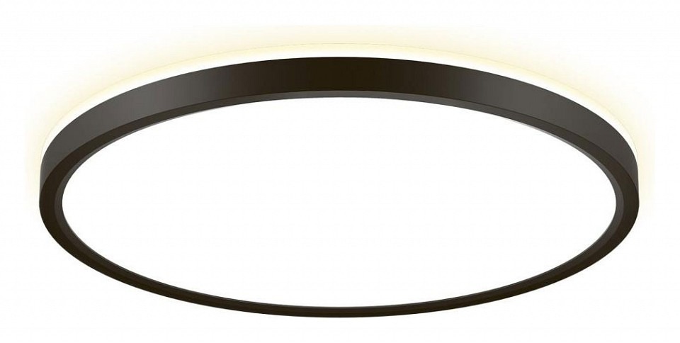 Фото Накладной светильник Citilux NORMA CL748321 - интернет-магазин МегаТерем в Москве