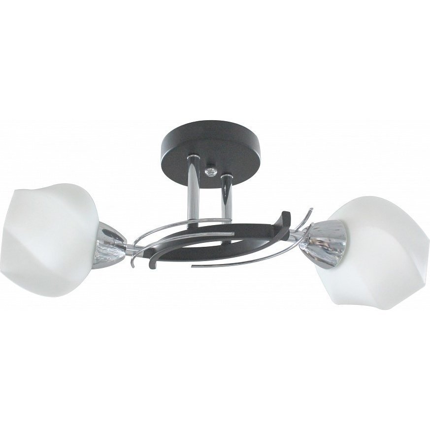 Фото Светильник на штанге TopLight Lia TL7380X-02BC - интернет-магазин МегаТерем в Москве