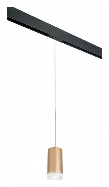 Фото Подвесной светильник Lightstar Rullo PRORP44030 LS_PRORP44030 - интернет-магазин МегаТерем в Москве