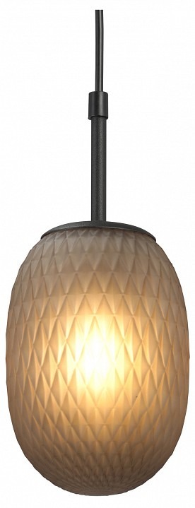 Фото Подвесной светильник Vitaluce V28211 V28211-1/1S VI_V28211-1_1S - интернет-магазин МегаТерем в Москве