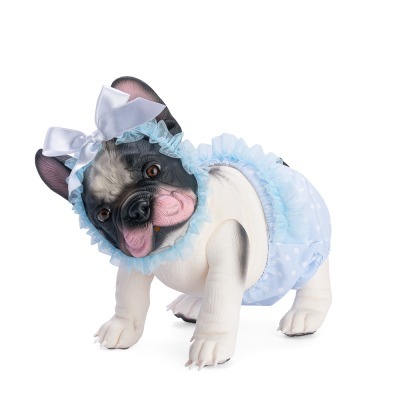 Французский бульдог ASI Лил...