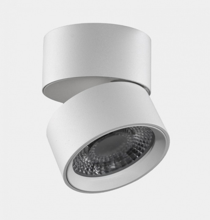 Фото Накладной светильник Lumker RINK 00-00014417 LMK_014417 - интернет-магазин МегаТерем в Москве