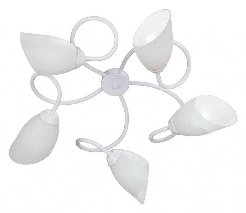 Фото Потолочная люстра Vitaluce V3396 V3396/5PL VI_V3396_5PL - интернет-магазин МегаТерем в Москве