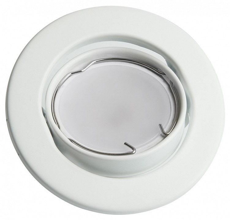 Фото Встраиваемый светильник Feron DL11 48465 FE_48465 - интернет-магазин МегаТерем в Москве