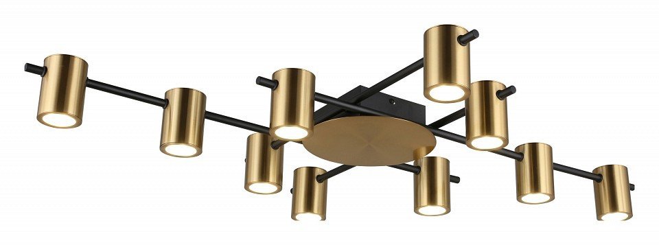 Фото Потолочная люстра Aployt Elwisia APL.633.07.10 AP_APL.633.07.10 - интернет-магазин МегаТерем в Москве