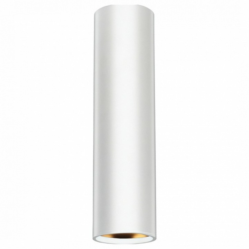 Фото Подвесной светильник Эра PL1 PL1 GU10 WH 300 ER_B0041508 - интернет-магазин МегаТерем в Москве