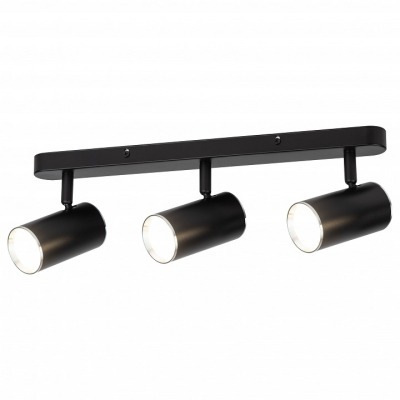 Спот Эра  OL35-3 BK ER_B005...