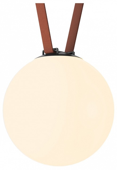 Фото Накладной светильник Denkirs Belty Orb DK5555-BK DK_DK5555-BK - интернет-магазин МегаТерем в Москве