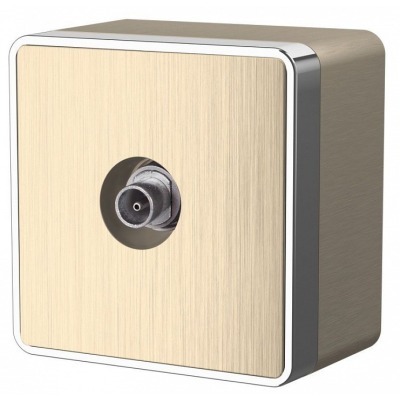 ТВ-розетка оконечная без рамки Werkel Gallant (шампань рифленый) W5083010 WRK_a051036