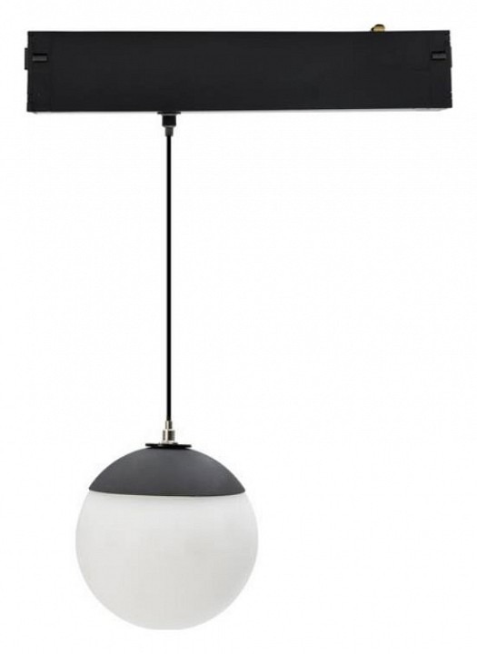 Фото Подвесной светильник Aployt Magnetic track 220 APL.0211.00.05 AP_APL.0211.00.05 - интернет-магазин МегаТерем в Москве