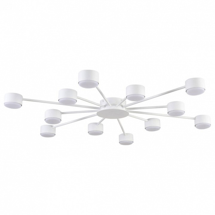 Фото Потолочная люстра Lumion TORINA 8343/12C LMN_8343_12C - интернет-магазин МегаТерем в Москве