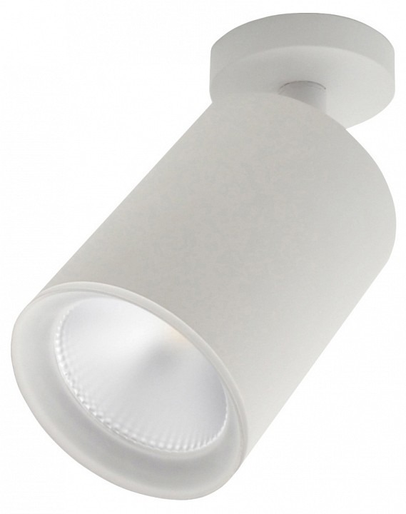 Фото Спот Escada 20020 20020SMA/01LED SWH ESC_20020SMA_01LED_SWH - интернет-магазин МегаТерем в Москве