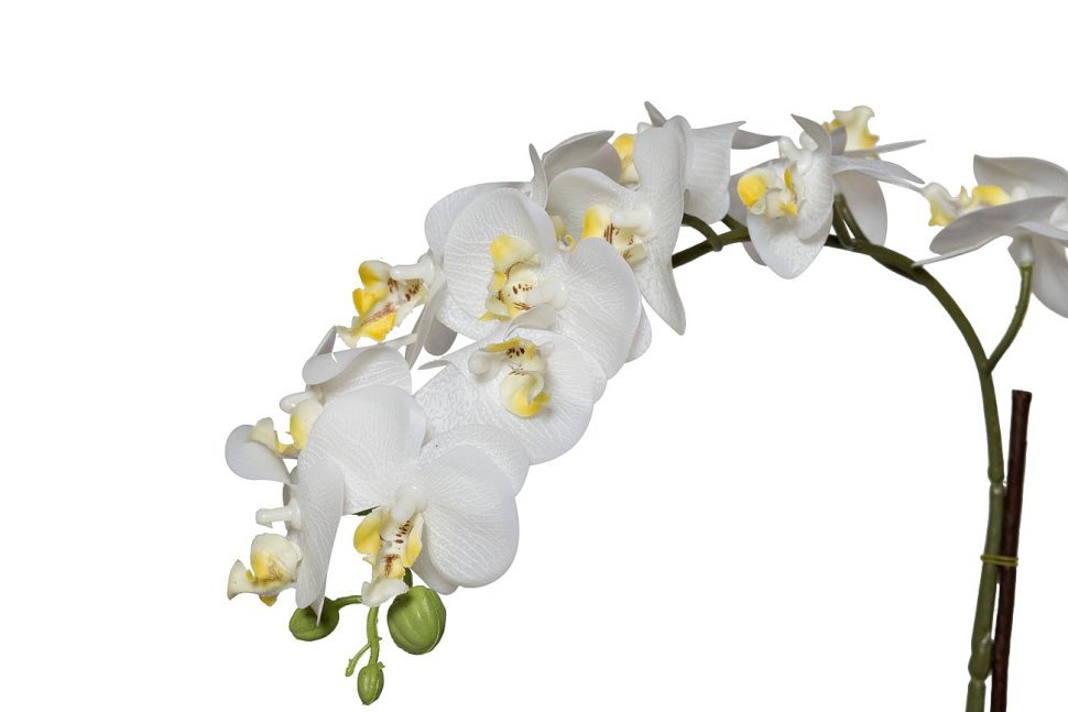 Искусственные Орхидеи Купить В Интернет Магазине