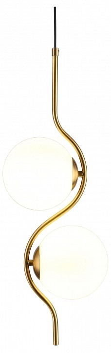 Фото Подвесной светильник Aployt Jagna APL.312.16.02 AP_APL.312.16.02 - интернет-магазин МегаТерем в Москве