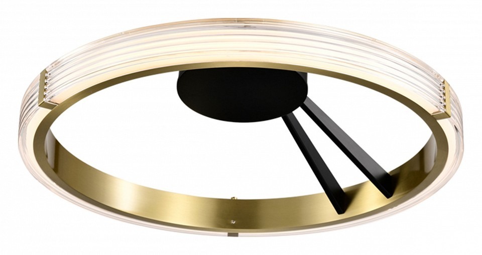 Фото Накладной светильник Lightstar Rotonda 736041 LS_736041 - интернет-магазин МегаТерем в Москве