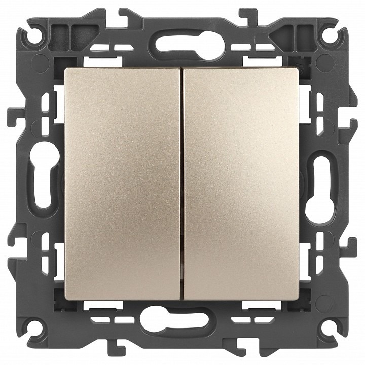 Фото Выключатель двухклавишный без рамки Эра Эра Elegance 14-1104-04 ER_B0034233 - интернет-магазин МегаТерем в Москве