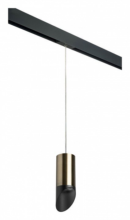 Фото Подвесной светильник Lightstar Rullo PRORP43137 LS_PRORP43137 - интернет-магазин МегаТерем в Москве