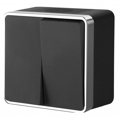 Выключатель двухклавишный влагозащищенный Werkel Gallant (черный/хром) W5020235 WRK_a050976