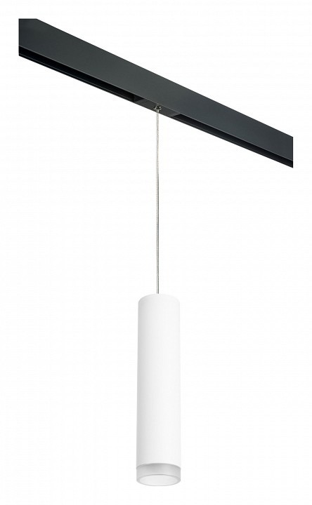 Фото Подвесной светильник Lightstar Rullo PRORP49630 LS_PRORP49630 - интернет-магазин МегаТерем в Москве