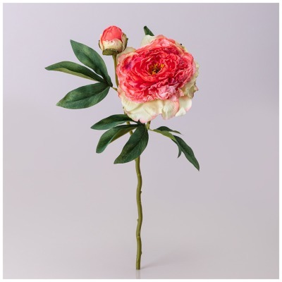 Пион с бутоном розовый, выс...