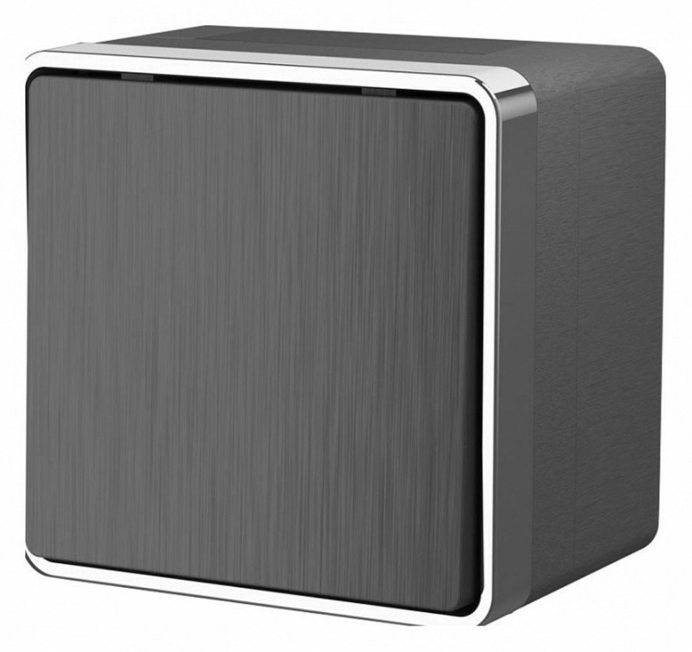 Фото Выключатель одноклавишный влагозащищенный Werkel Gallant (графит рифленый) W5010204 WRK_a051345 - интернет-магазин МегаТерем в Москве