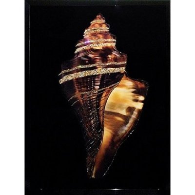 Картина Морская раковина 2 с кристаллами Swarovski (2337)