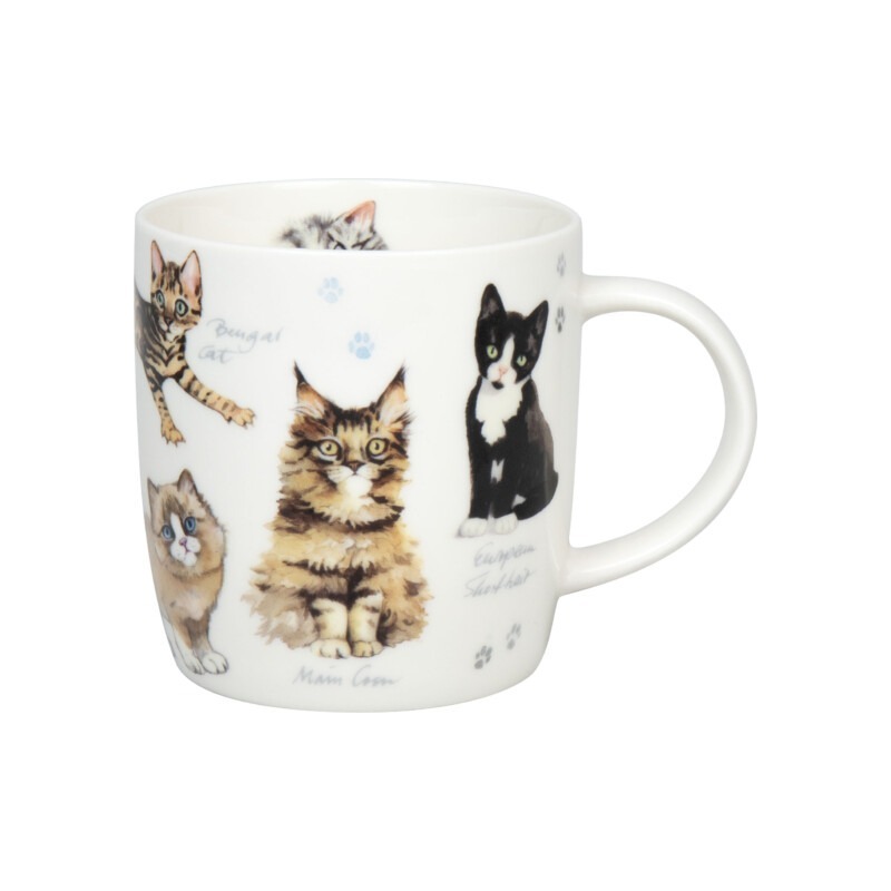 Кружка Разнообразие природы - Котята 11 7 275 2866 Фото Кружка Разнообразие природы - Котята 11 7 275 2866 - интернет-магазин МегаТерем в Москве