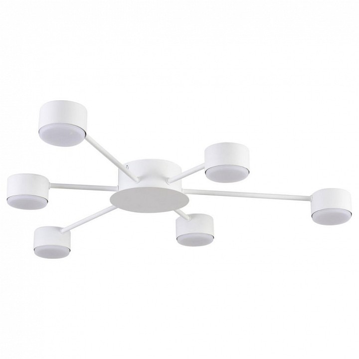 Фото Потолочная люстра Lumion TORINA 8343/6C LMN_8343_6C - интернет-магазин МегаТерем в Москве