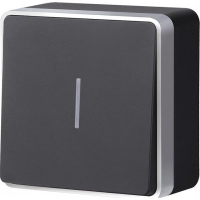 Выключатель одноклавишный с...