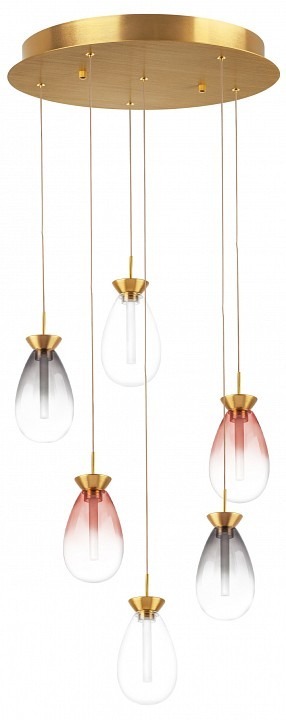 Фото Подвесная люстра Lightstar Colore 805169 LS_805169 - интернет-магазин МегаТерем в Москве
