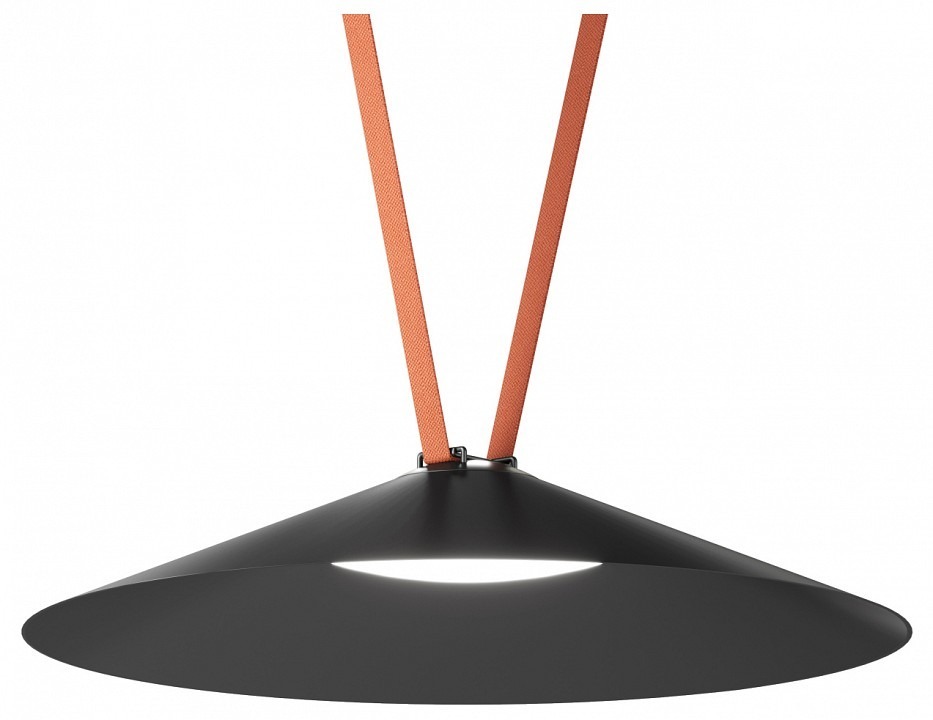 Фото Накладной светильник Denkirs Belty Flow DK5568-BK DK_DK5568-BK - интернет-магазин МегаТерем в Москве