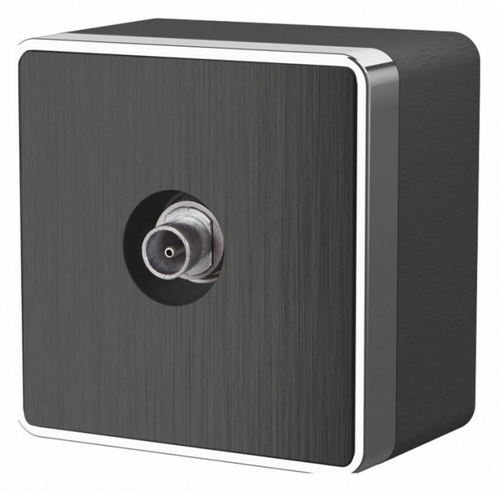 Фото ТВ-розетка Werkel Gallant (графит рифленый) W5083004 WRK_a051343 - интернет-магазин МегаТерем в Москве