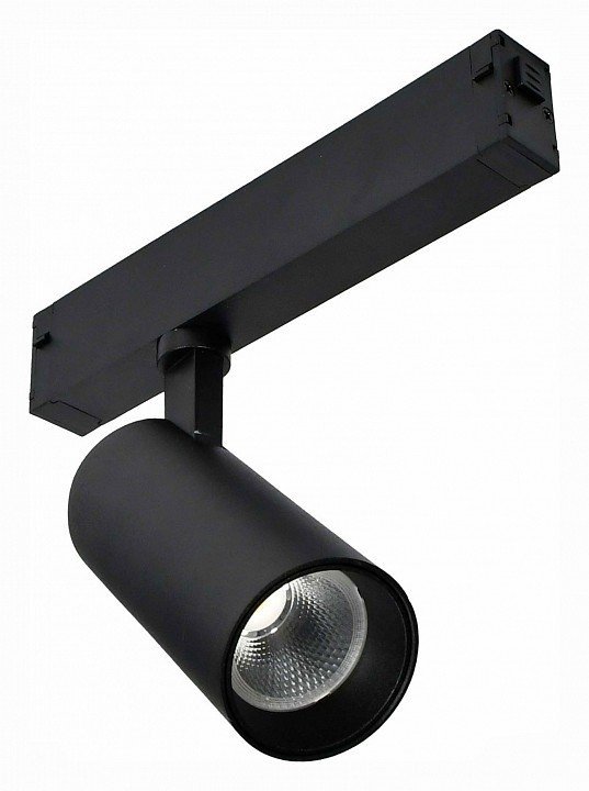 Фото Светильник на штанге ST-Luce ST660 ST660.496.20 - интернет-магазин МегаТерем в Москве