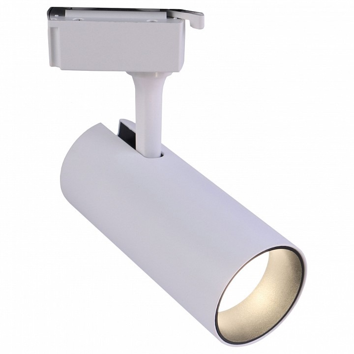 Фото Светильник на штанге Эра  TR5-10 COB WH ER_B0049050 - интернет-магазин МегаТерем в Москве