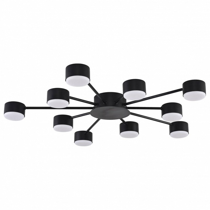 Фото Потолочная люстра Lumion TORINA 8344/10C LMN_8344_10C - интернет-магазин МегаТерем в Москве