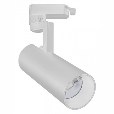 Светильник на штанге Escada 20029 20029TRA/02LED SWH ESC_20029TRA_02LED_SWH