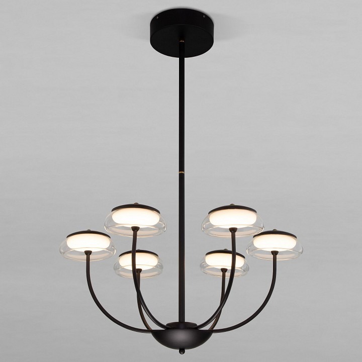 Фото Люстра на штанге Eurosvet Fungo 50388 LED черный EV_a068861 - интернет-магазин МегаТерем в Москве